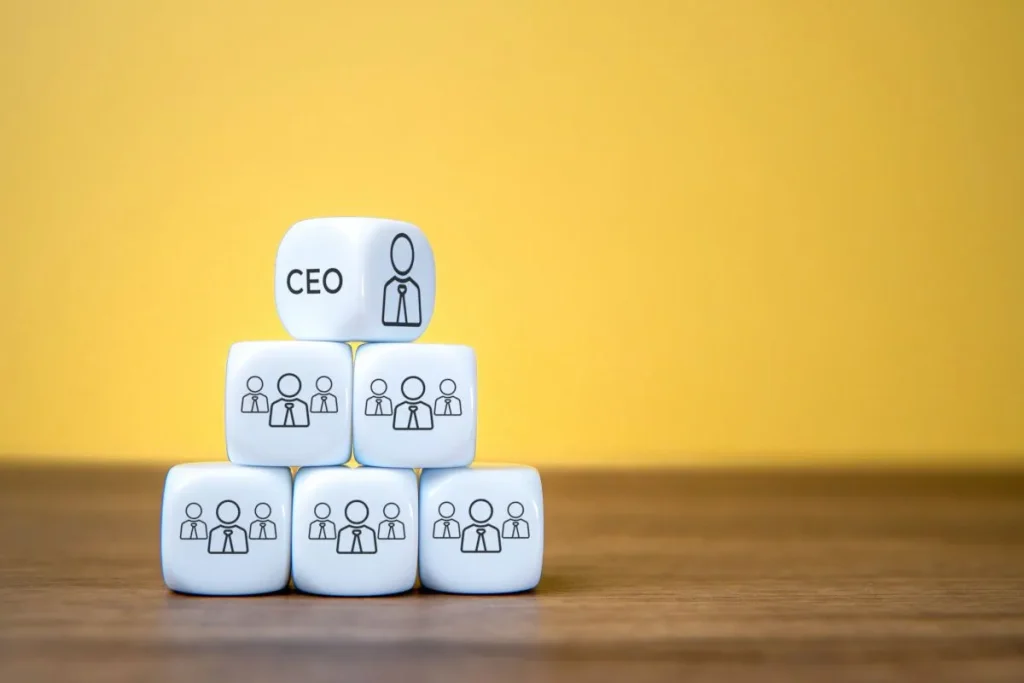 Limited Liability Company Formation in Türkiye