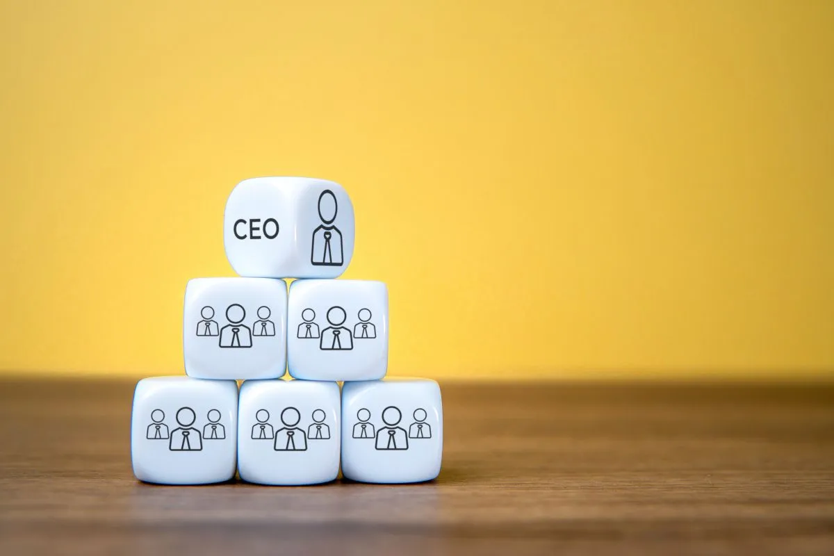 Limited Liability Company Formation in Türkiye